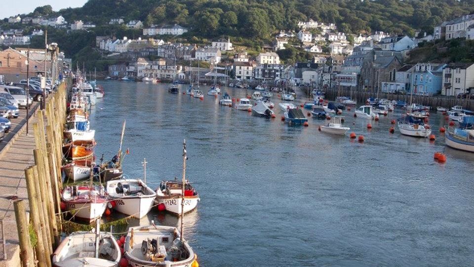 Harbour with moored boats