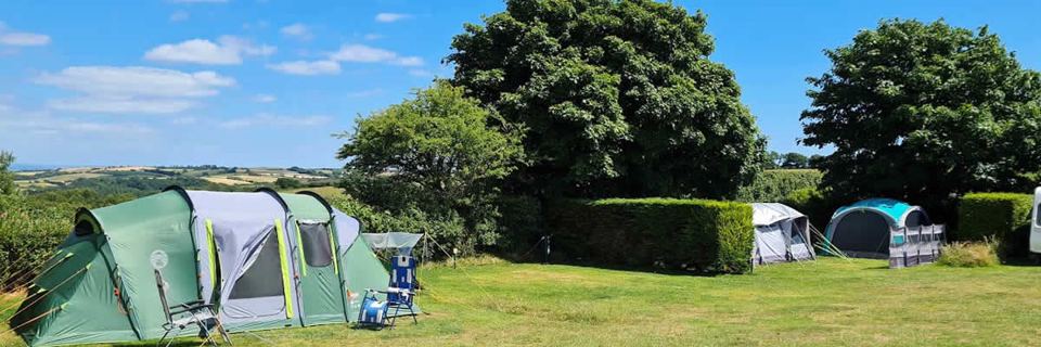 Tents on the grass pitches