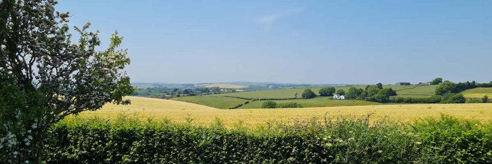 Fields beyond the site
