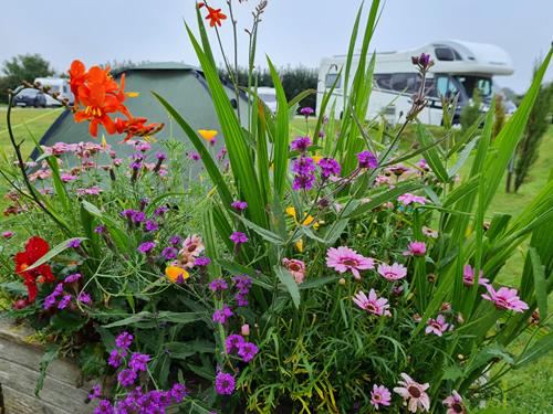 Tent and motorhome pitches