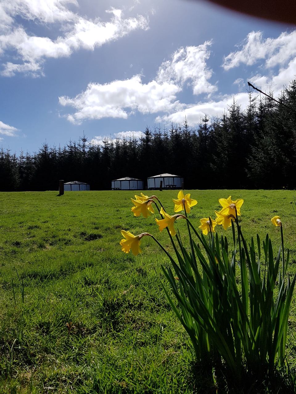 Tents across the field