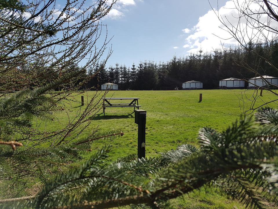 Field with tents beyond