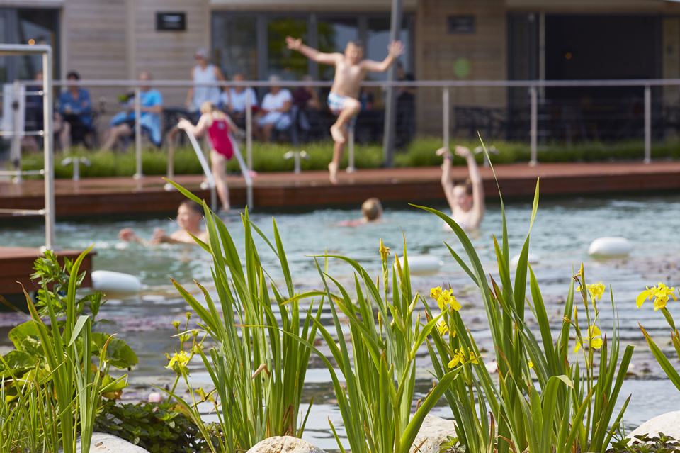 Natural swimming pool