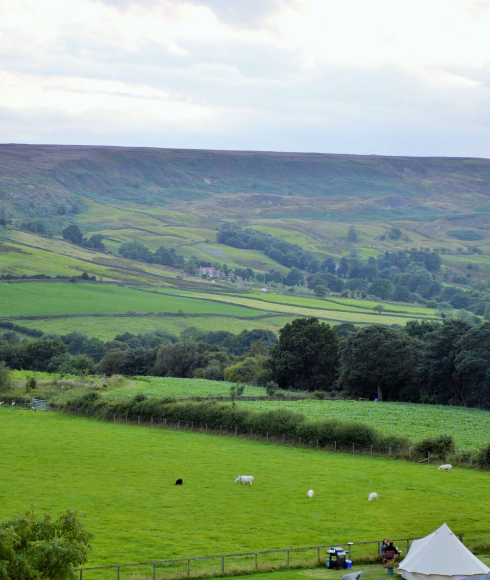 Tent in the field below