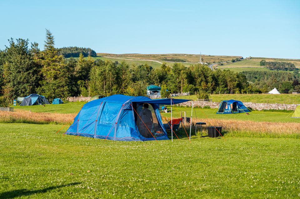 Tent pitches on open grass