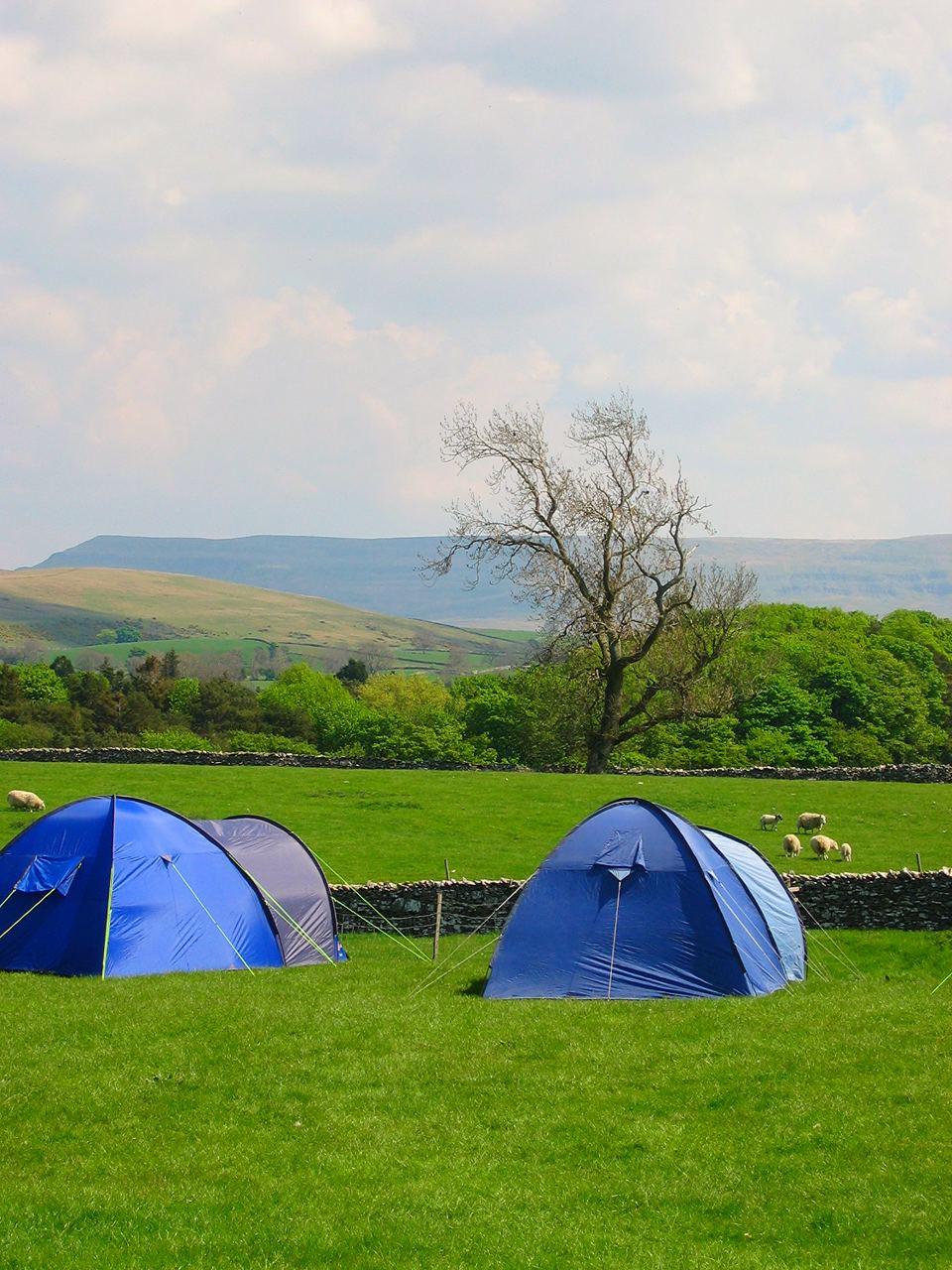 Tents on grass with hills behind