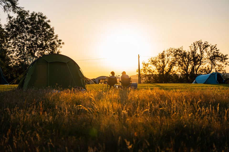 Tent in a field at sunset