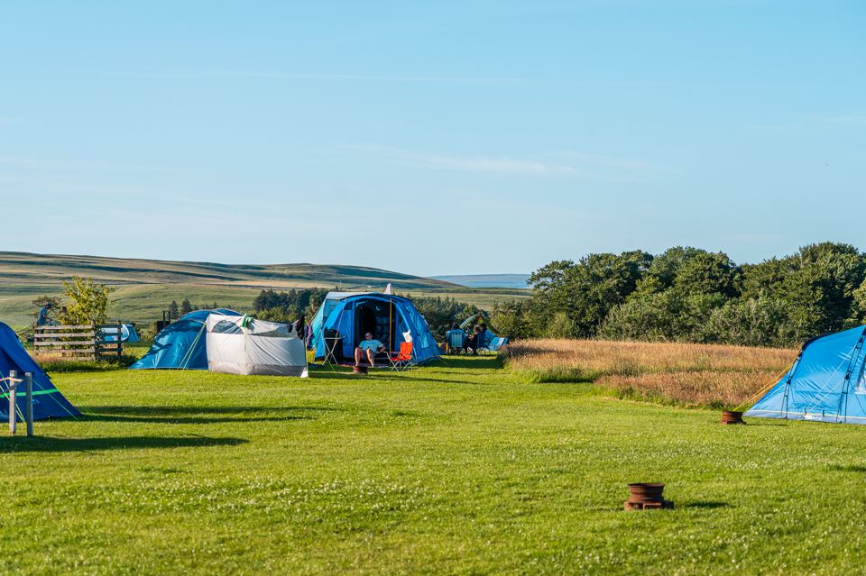 Tents across the grass field