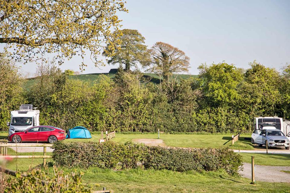 Motorhomes and tents beside the hedge