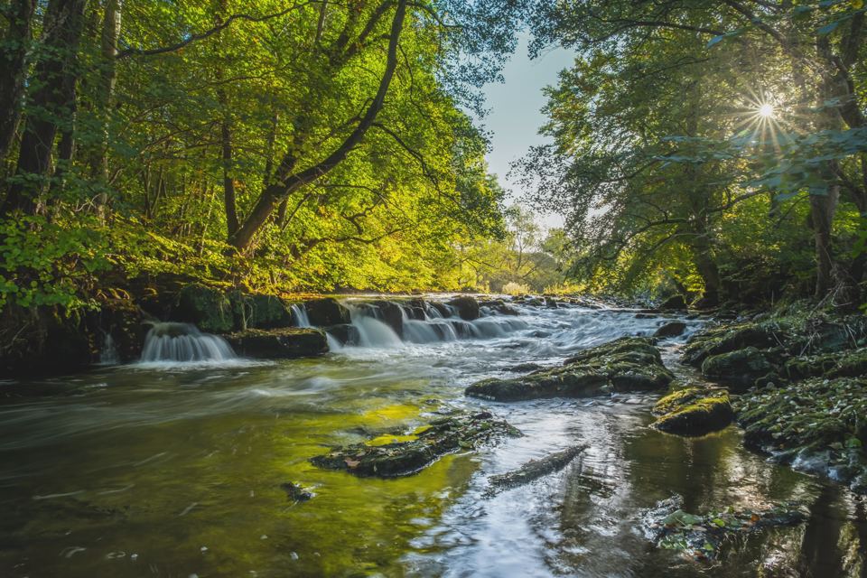 Waterfall on the river in woodland