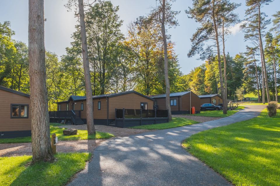 Lodges along the tree-lined road