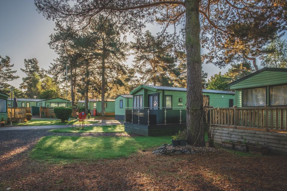 Holiday home beside a pine tree