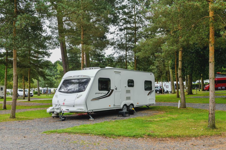 Caravan pitch among the pines