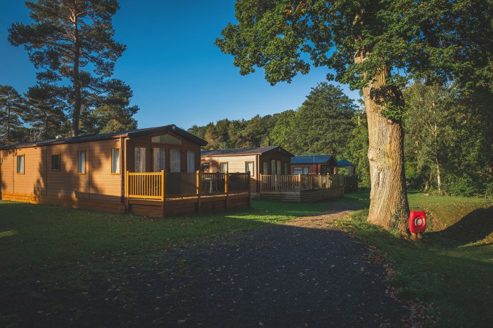 Lodge beside a large tree