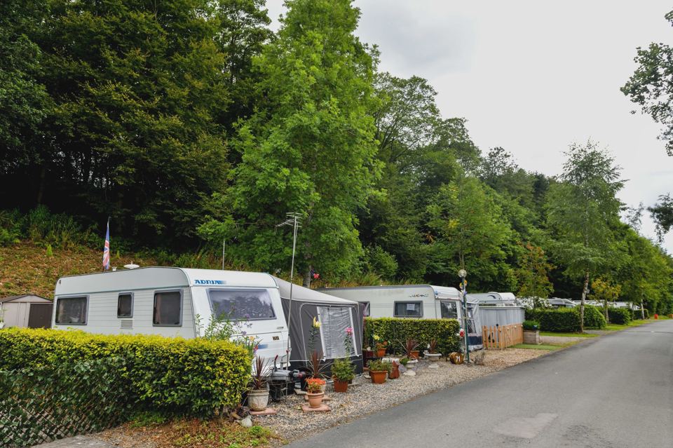 Caravan on the tree-lined road