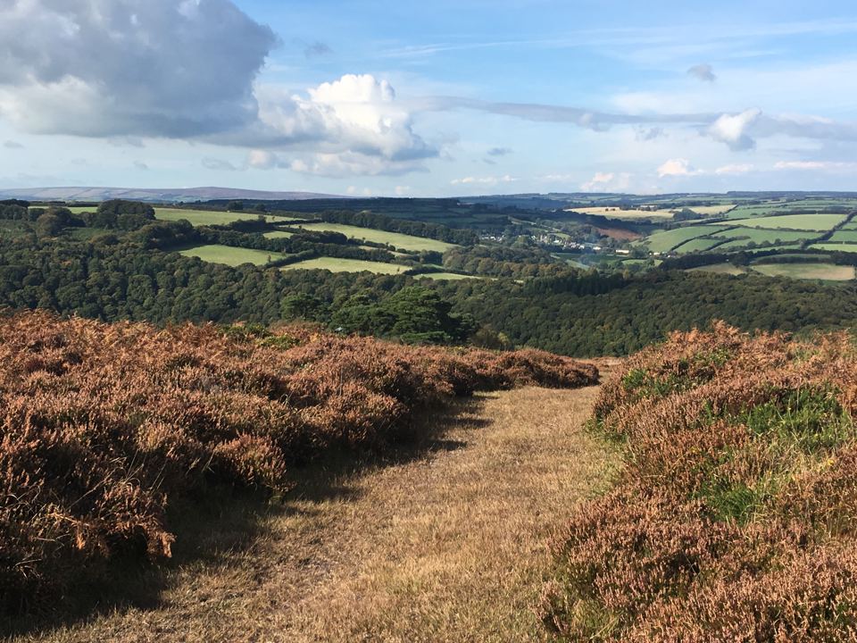 Heather path on Exmoor