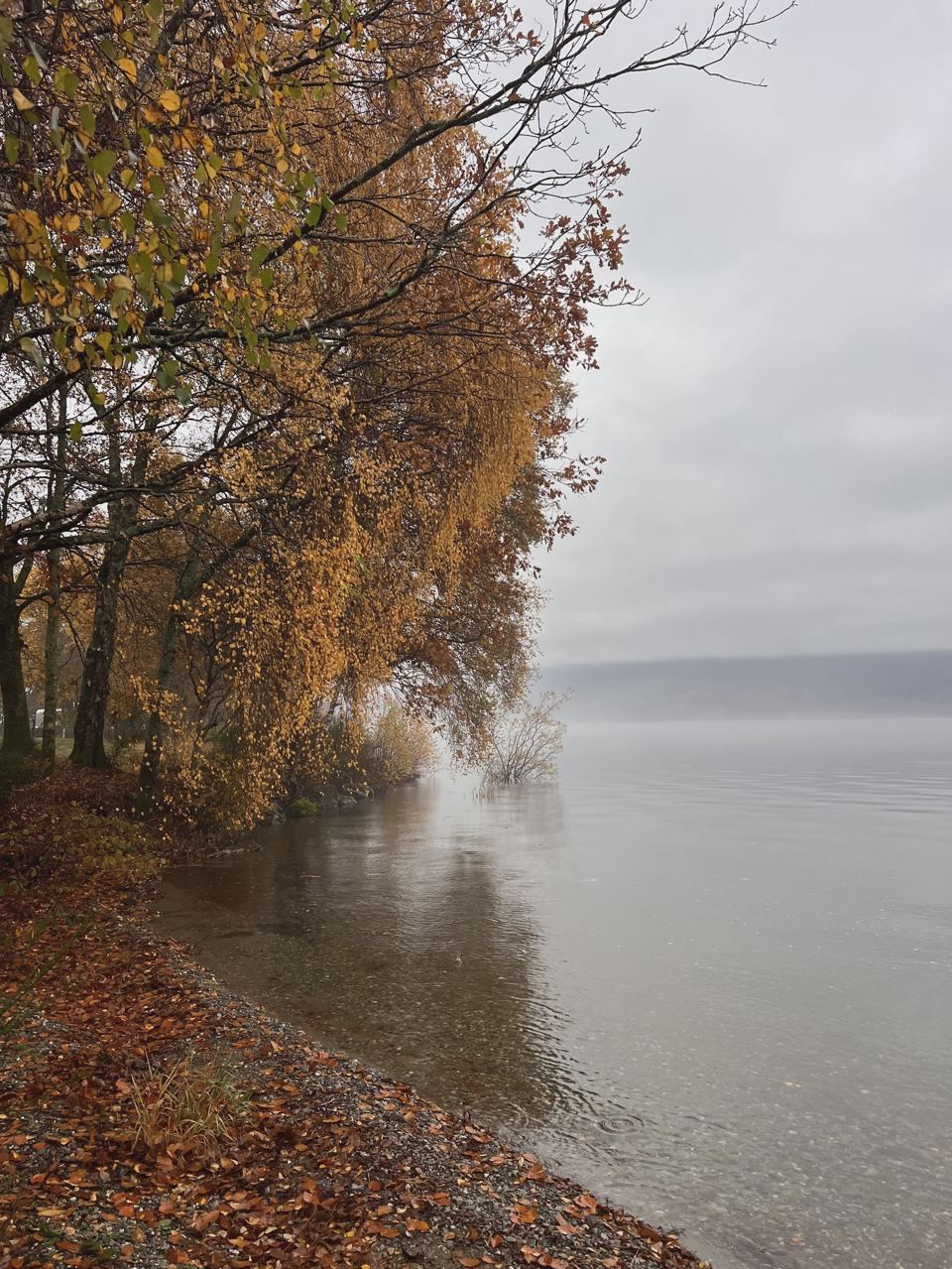 Misty loch shore in autumn