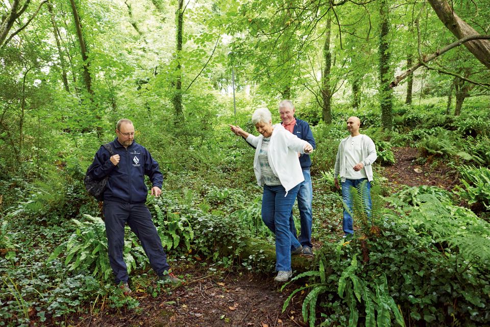 Woodland walk
