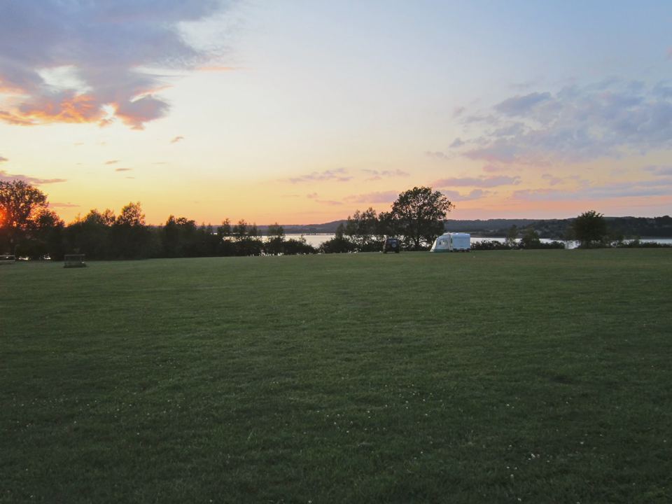 Grass at sunset by the lake