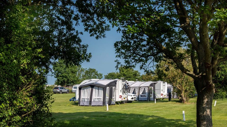 Awnings pitched under the trees