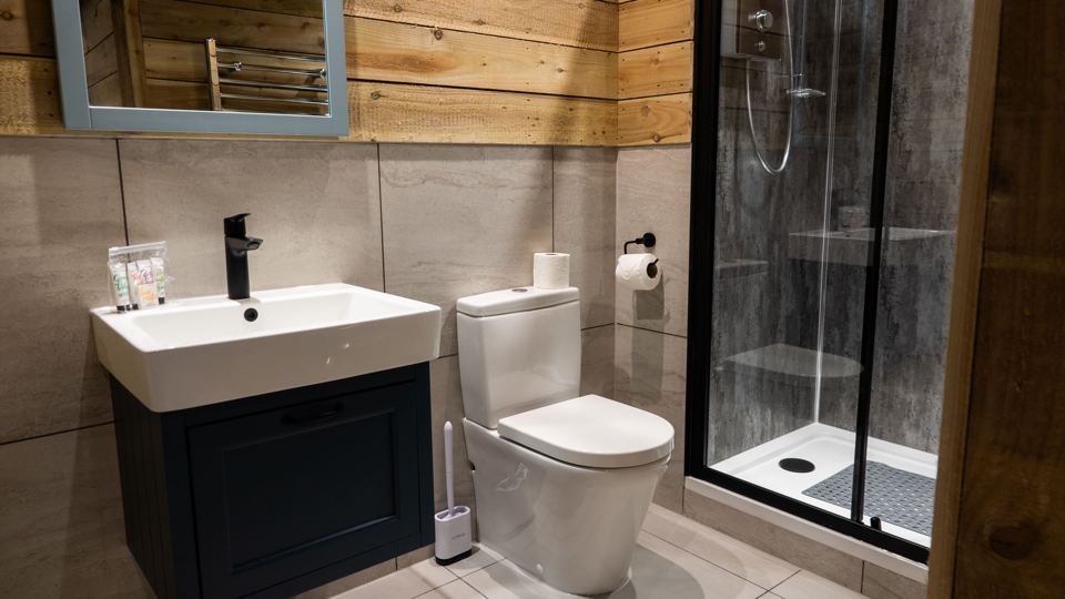Shower room with basin