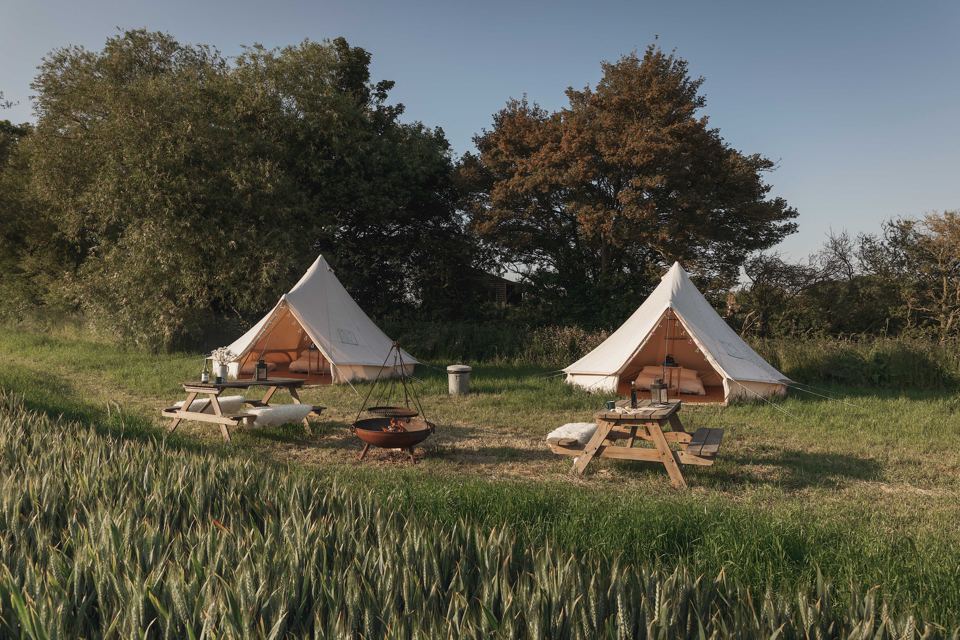 Bell tents in the glade