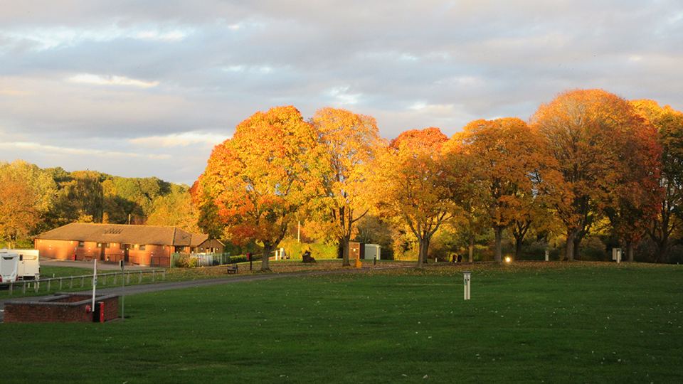 Site grounds in autumn