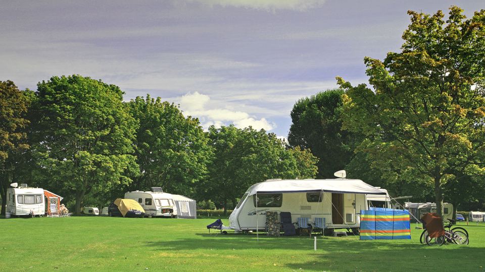 Pitches among the trees