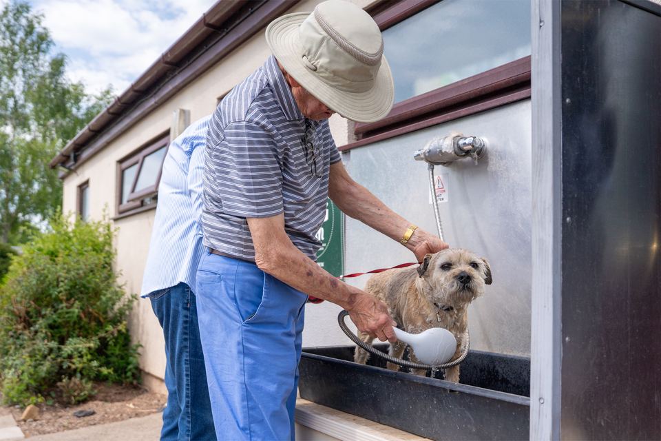 Dog wash station