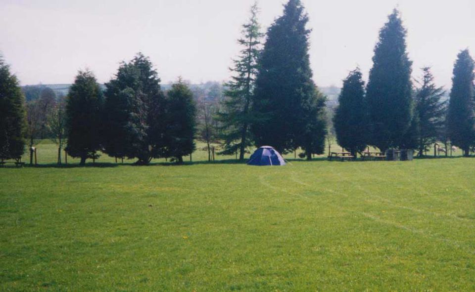 Tent field