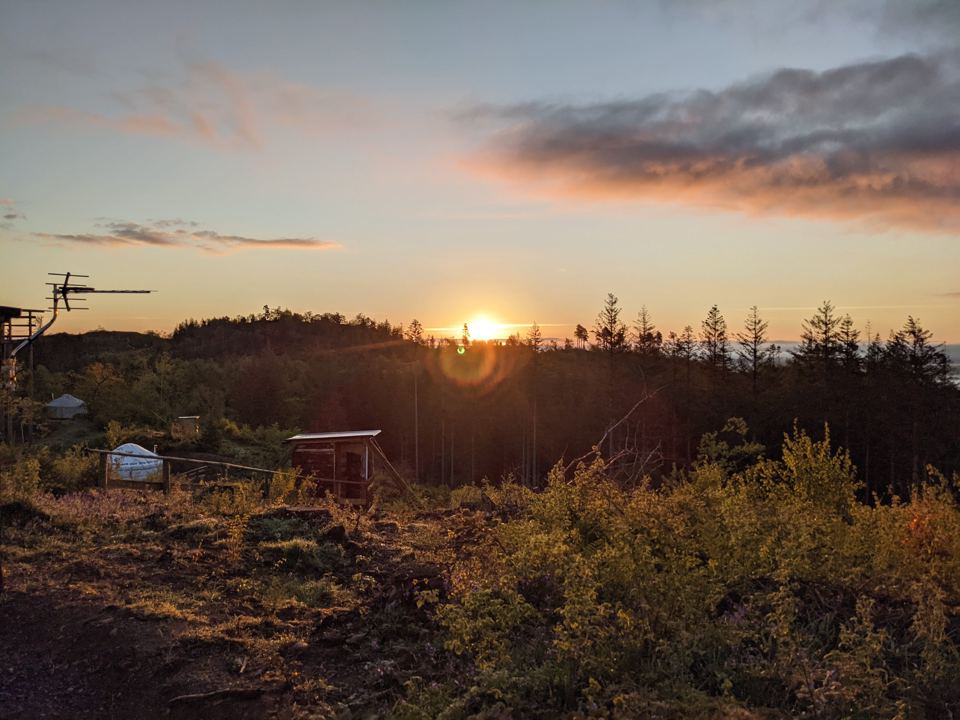 Sunset over the forest site