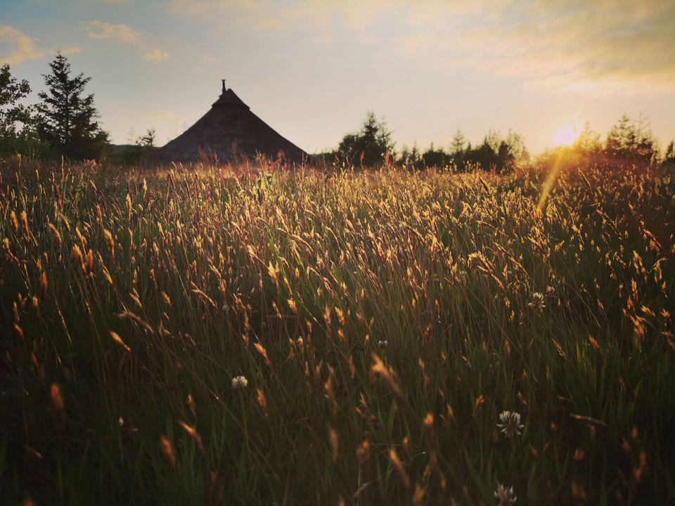 Roundhouse above long grass