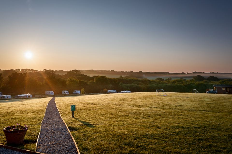 Grass field at sunrise