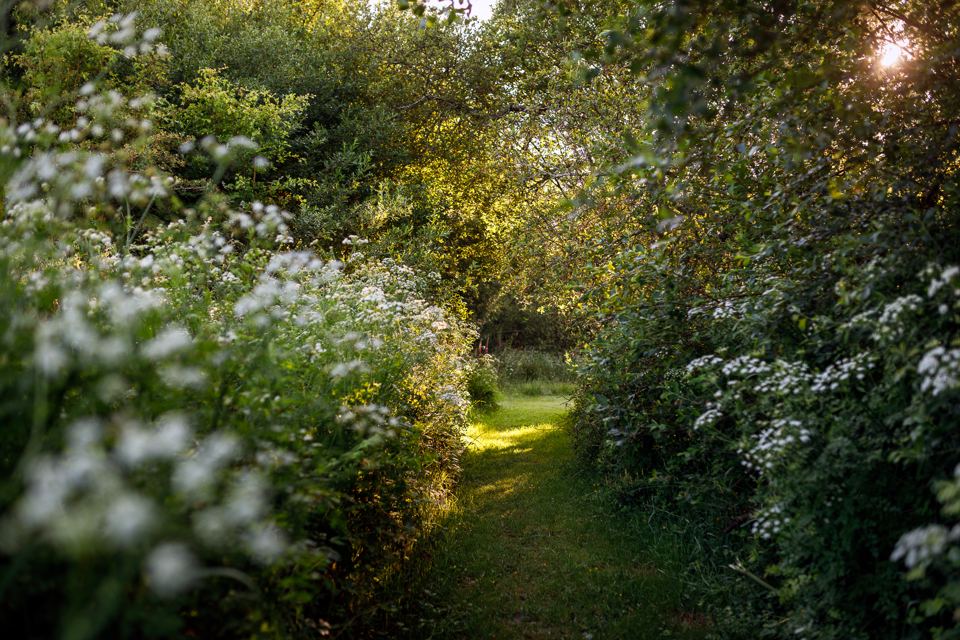 Woodland path