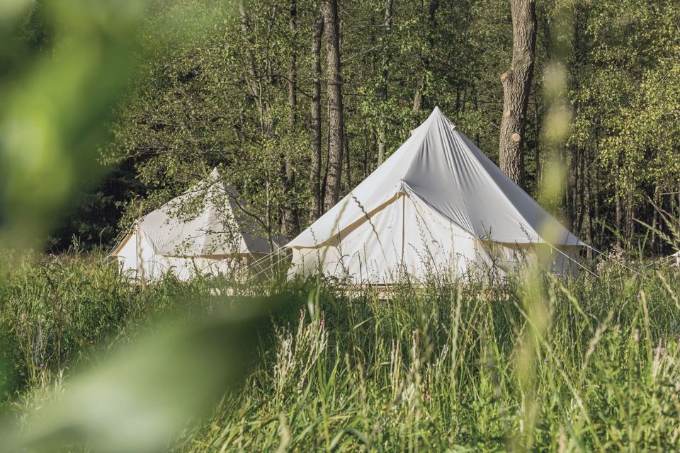 Two bell tents among trees