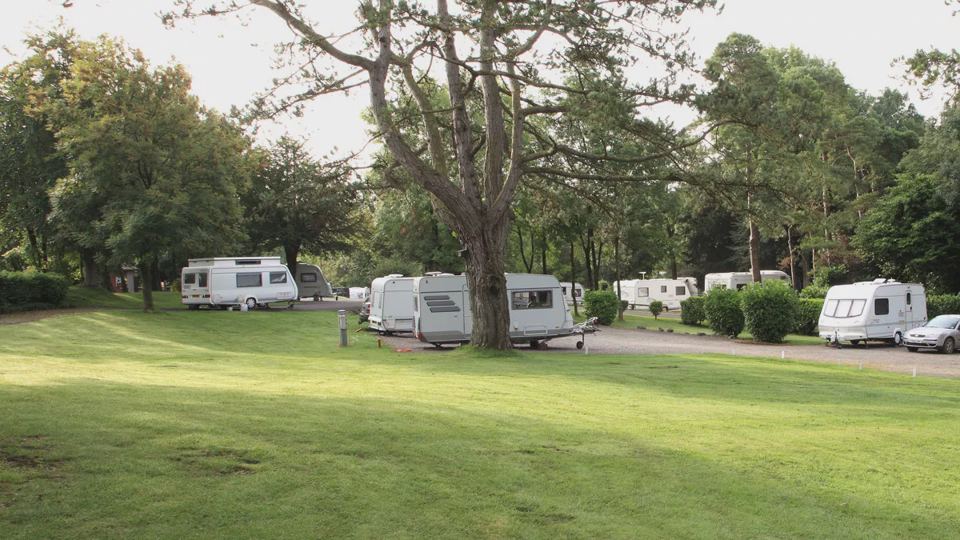 Caravans on the grass under the oak