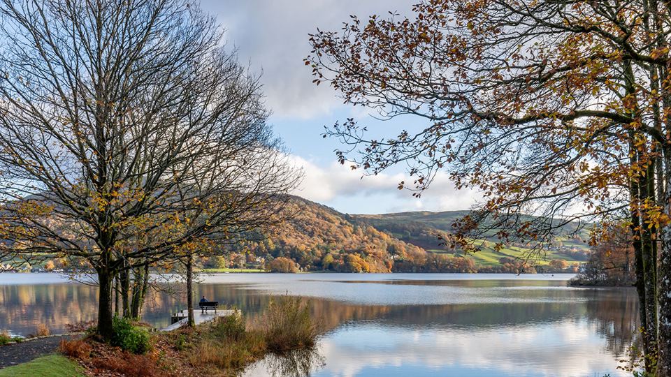 Lake and autumn trees