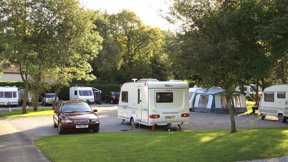 Caravan pitches under the trees