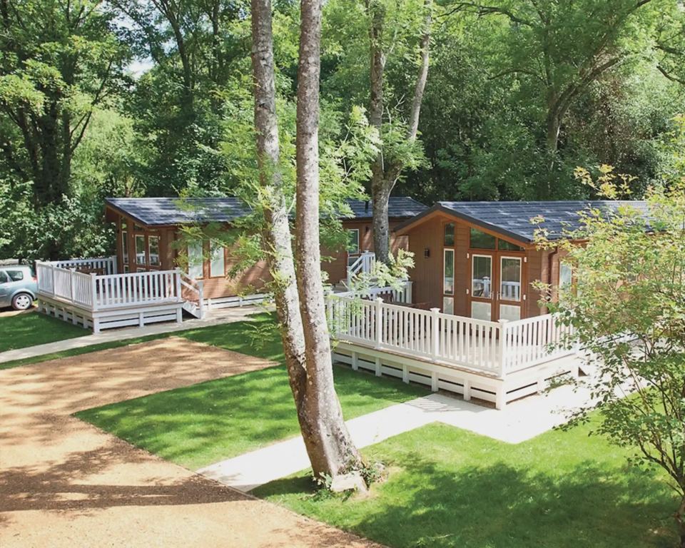 Lodges beside a woodland path