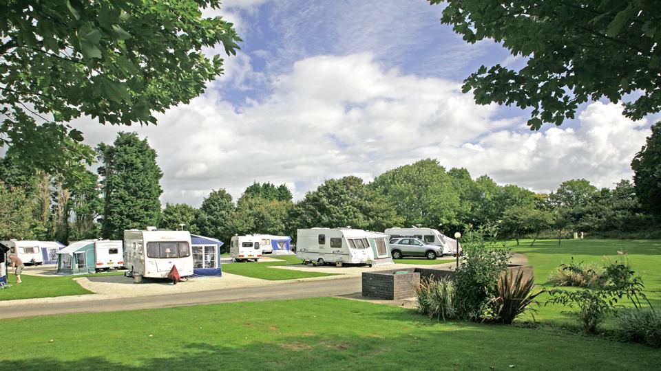 Touring pitches under the trees