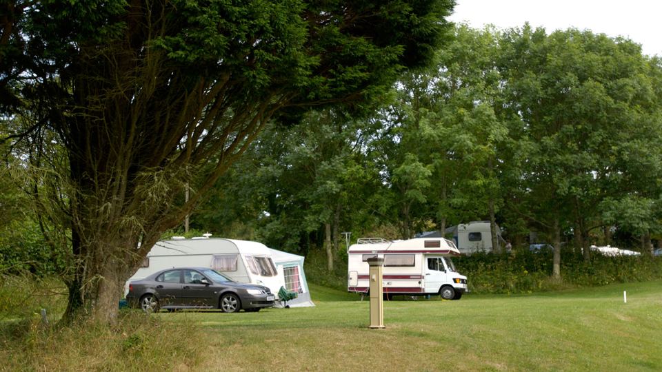 Caravans and motorhome under trees