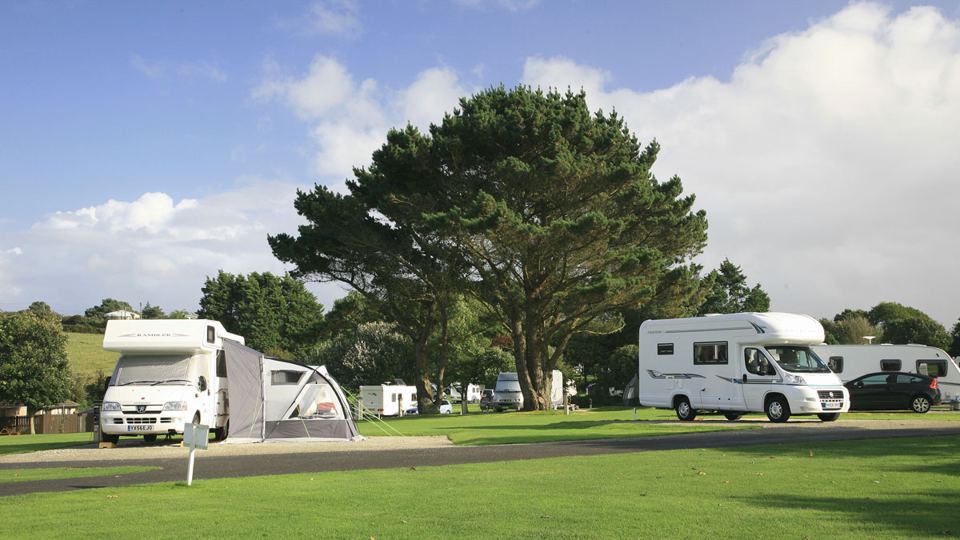 Motorhomes on the grass under a tree