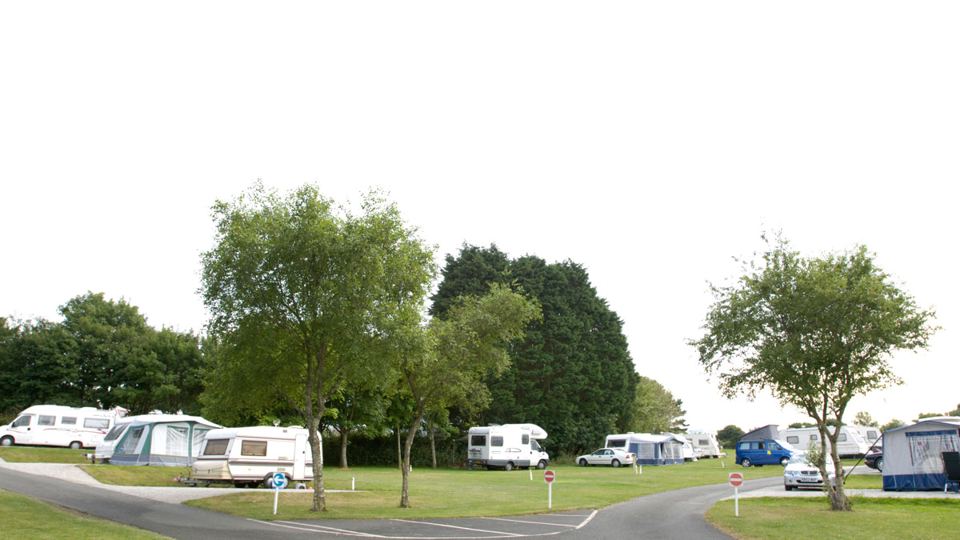 Caravans on the grass under trees