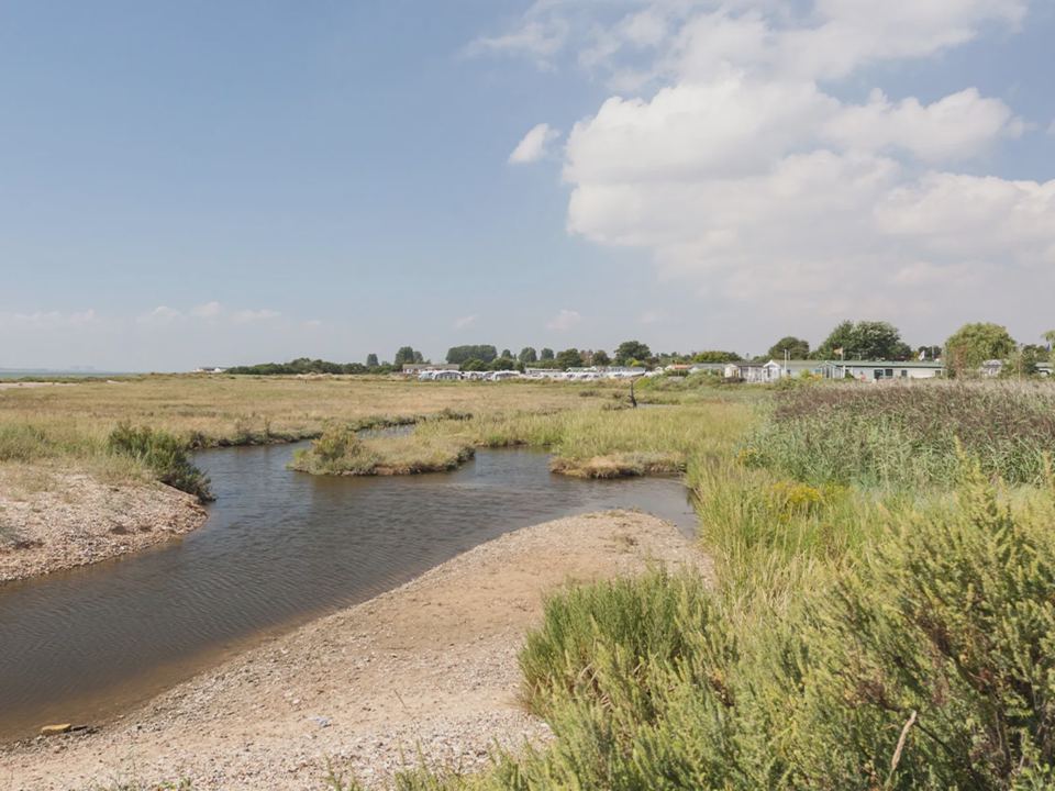 Creek and marsh by the park