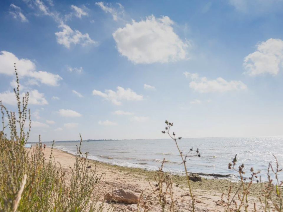 Beach on the estuary