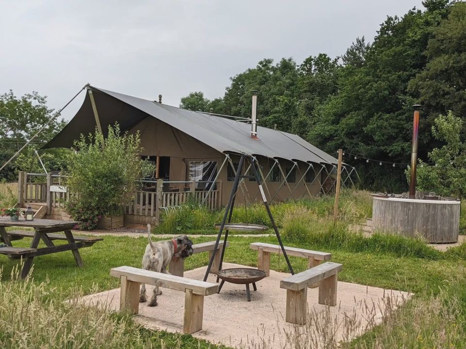 Safari tent and fire pit