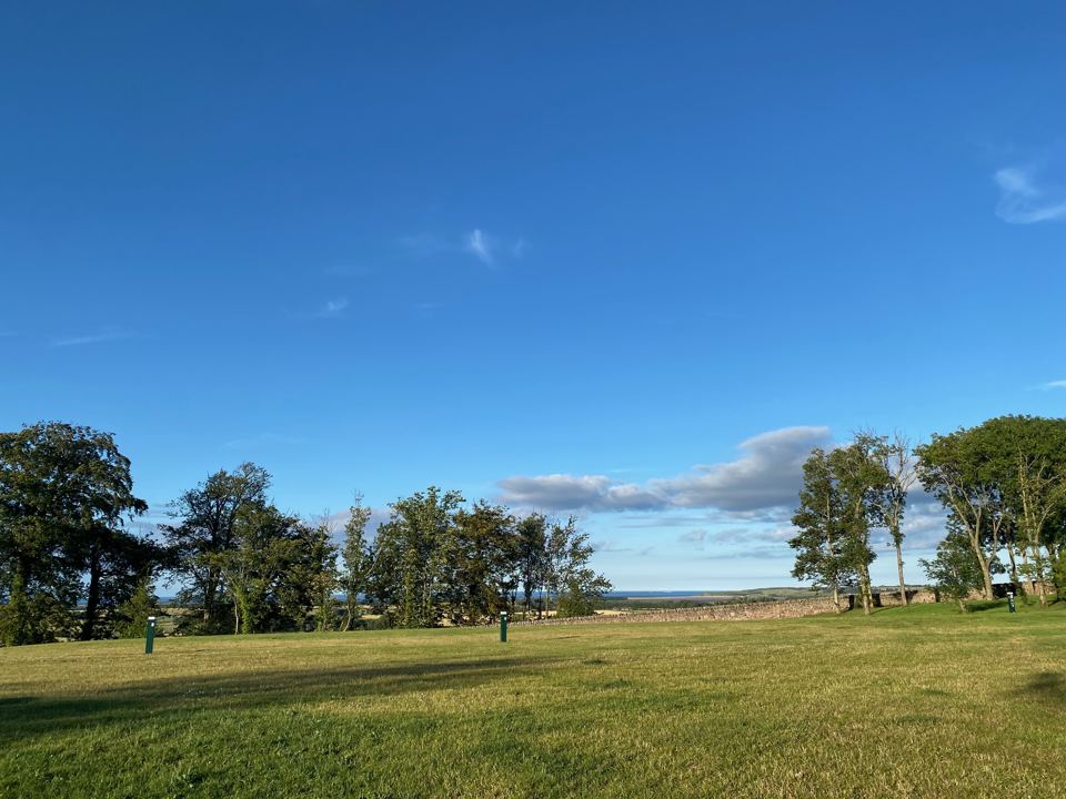 Wide grass site with trees