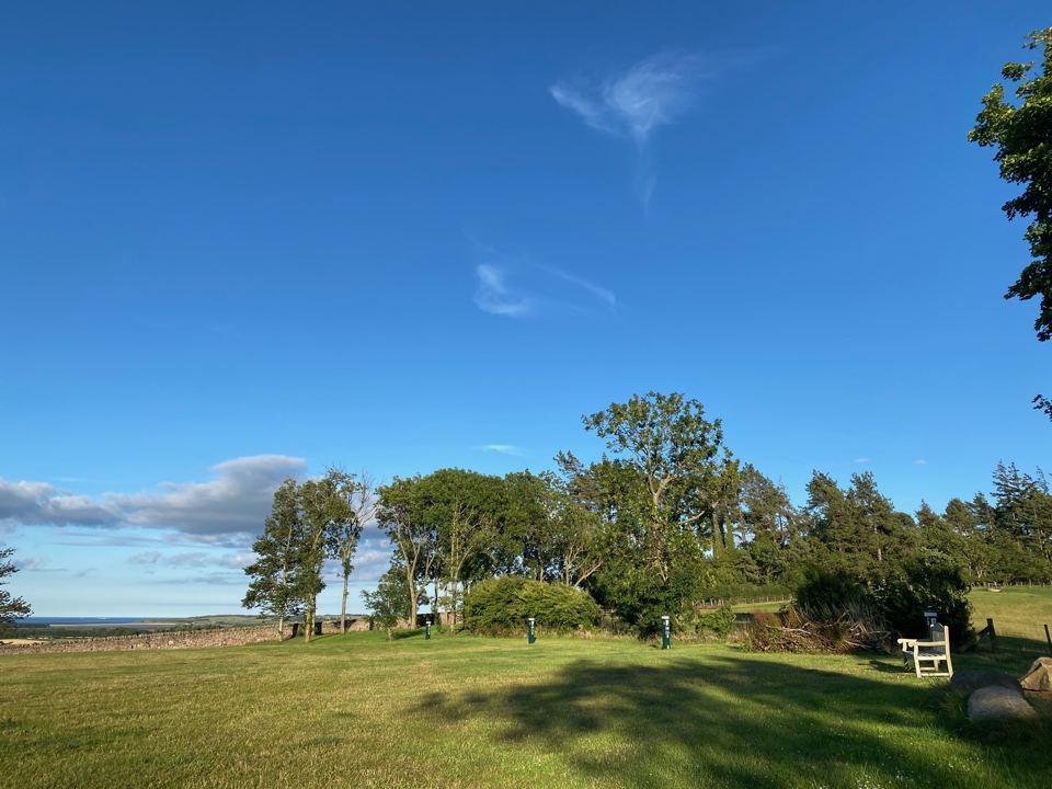 Grass pitch area with bench