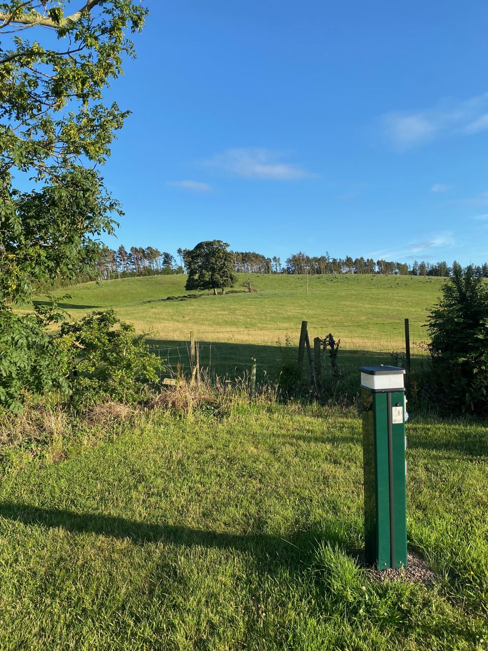 Electric post on the grass