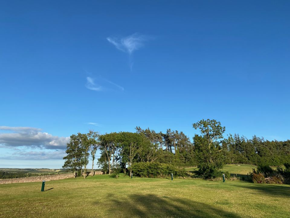 Open grass pitches and trees